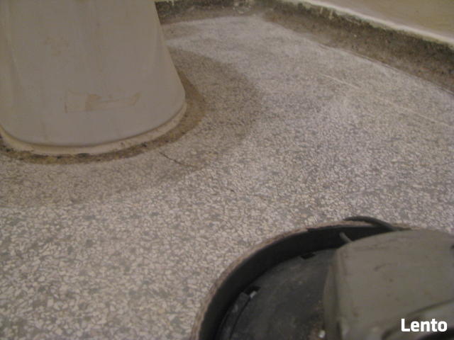 USUWANIE SUBITU LEPIKU WROCŁAW Świdnica, ZielonaG, Głogów