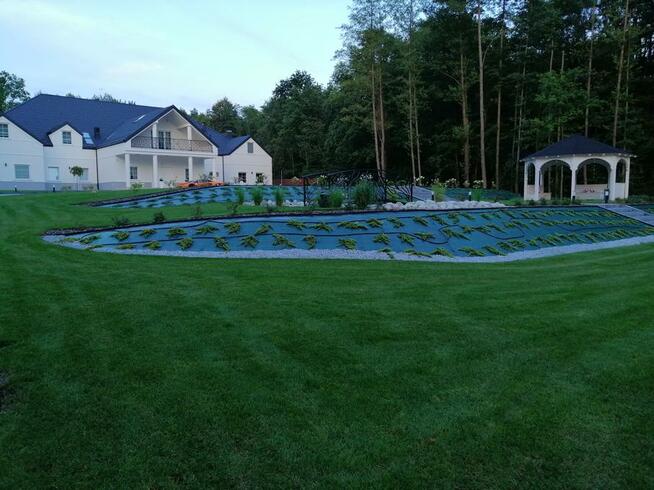 Trawniki z rolki dystrybucja oraz montaż, kompleksowo.