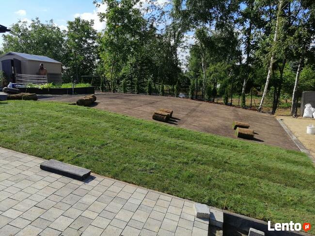 Trawniki z rolki dystrybucja oraz montaż, kompleksowo.