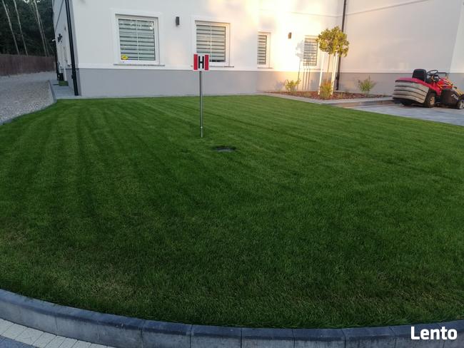 Trawniki z rolki dystrybucja oraz montaż, kompleksowo.