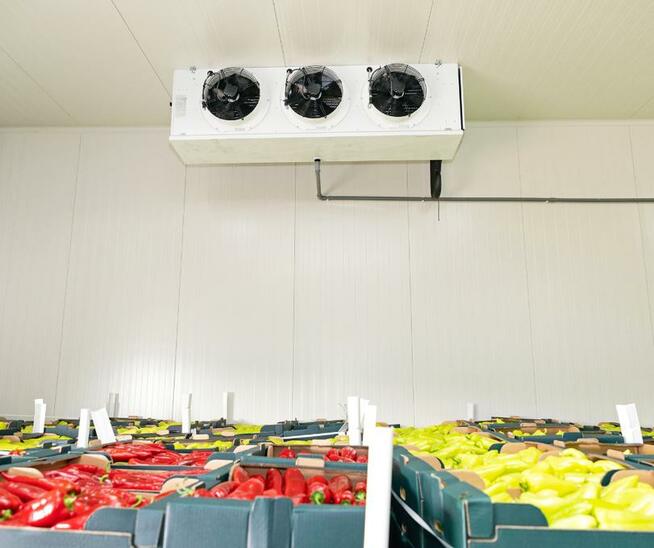 KOMORY CHŁODNICZE CHŁODNIE TORUŃ BYDGOSZCZ INOWROCŁAW