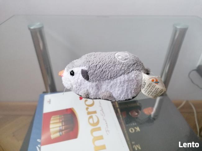 INTERAKTYWNA SZARA MYSZKA