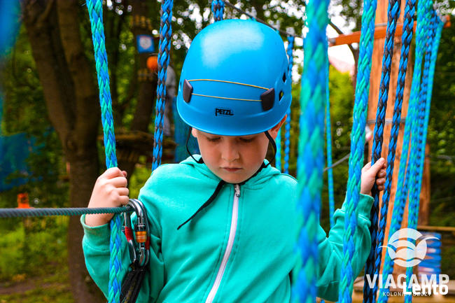 Obozy letnie dla dzieci i młodzieży 2026 - ViaCamp.pl