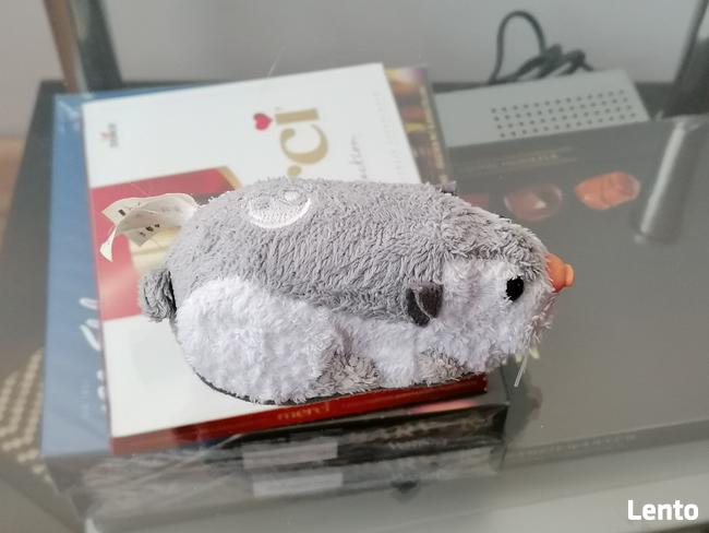 INTERAKTYWNA SZARA MYSZKA