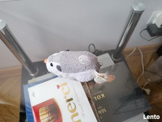 INTERAKTYWNA SZARA MYSZKA