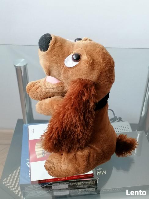 NOWY INTERAKTYWNY MUZYKALNY PIESEK