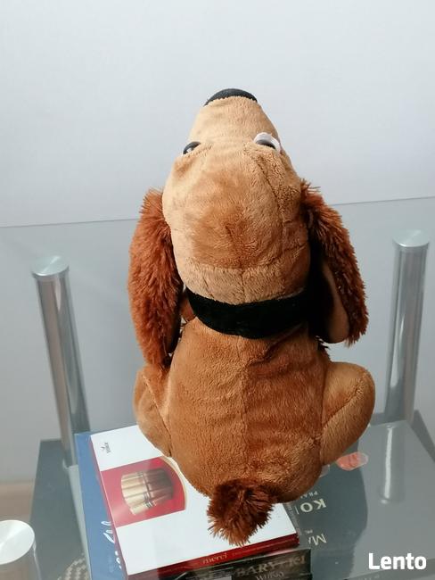 NOWY INTERAKTYWNY MUZYKALNY PIESEK