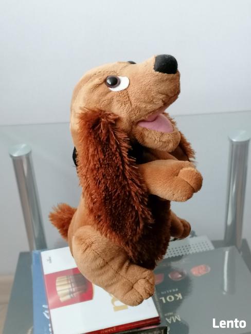 NOWY INTERAKTYWNY MUZYKALNY PIESEK