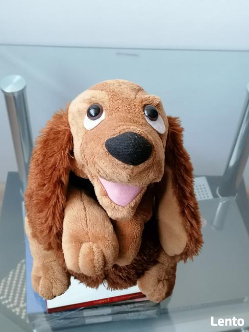 NOWY INTERAKTYWNY MUZYKALNY PIESEK