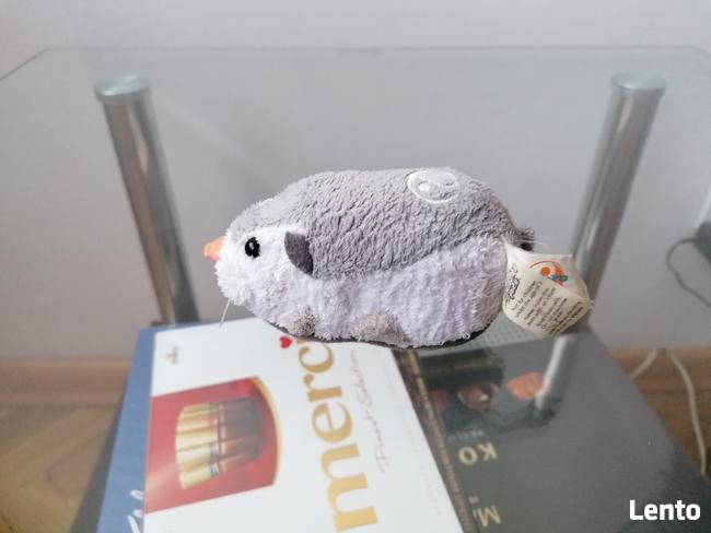 INTERAKTYWNA SZARA MYSZKA