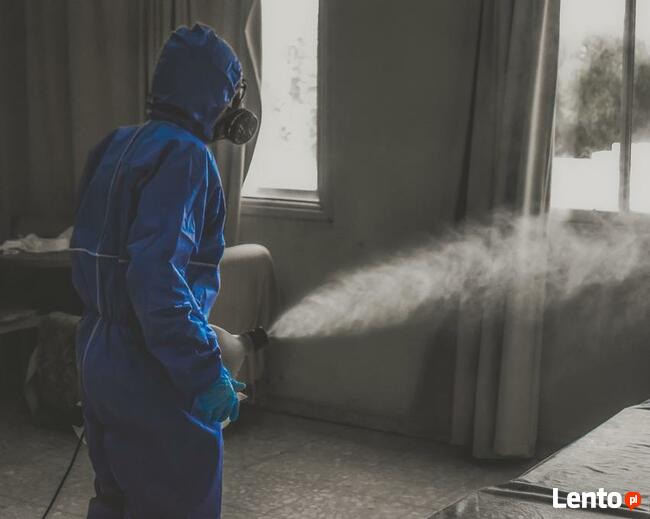 DEZYNFEKCJA - zwalczanie wirusów, bakterii, grzybów
