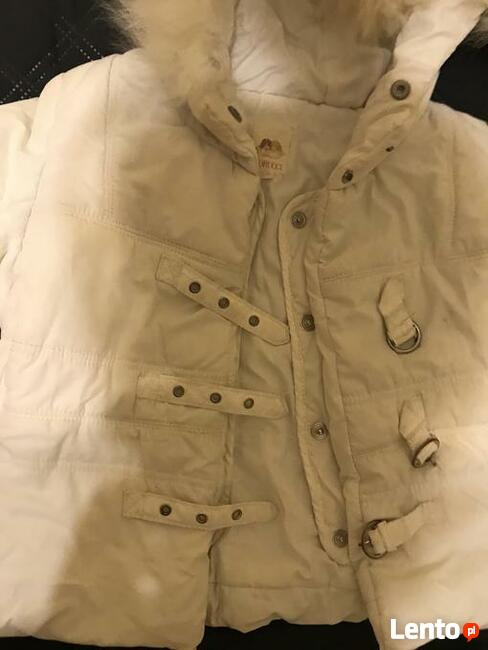 Kurteczka dziewczęca