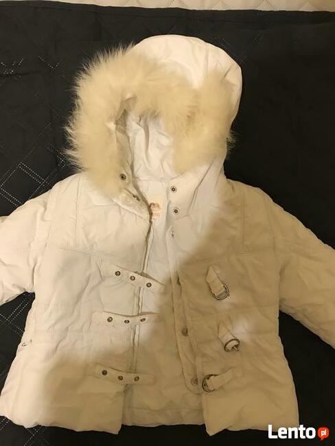 Kurteczka dziewczęca