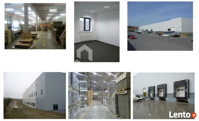 Lokal użytkowy Czeladź