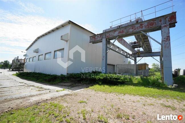 Lokal użytkowy Rybnik