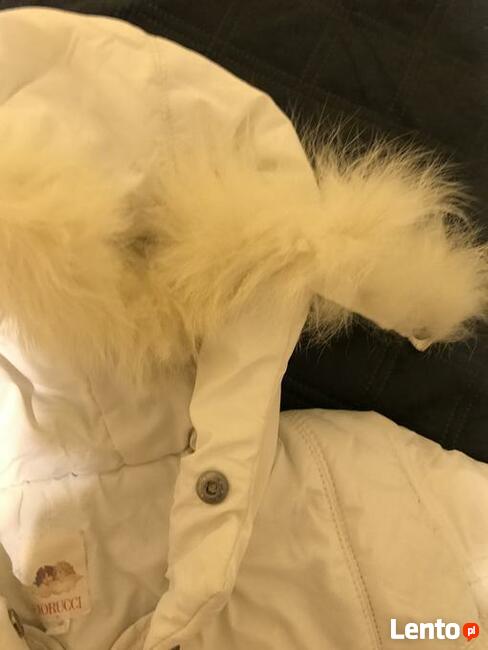 Kurteczka dziewczęca