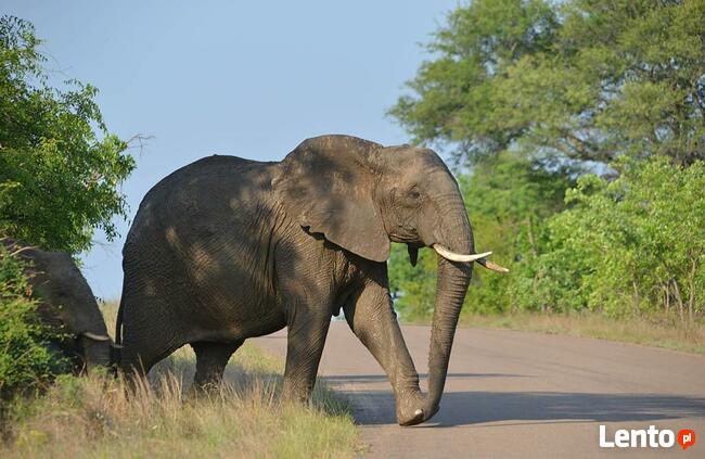 UDRAŻNIANIE rur Wuko jesteśmy dobrzy w te klocki787342182