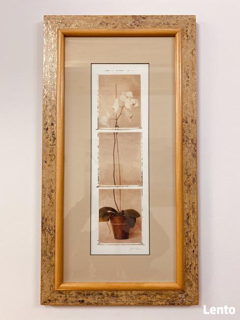 Psycholog Psychoterapia Milicz Krotoszyn Anna Linda