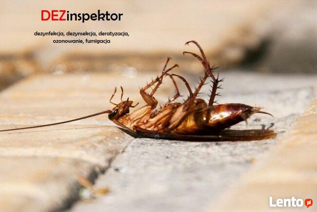Dezynsekcja/tępienie niechcianego robactwa /-Deratyzacja
