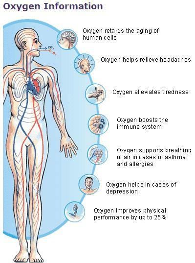 WyNaJeM Koncentrator Tlenu Invacare Devilbiss Philips Krober