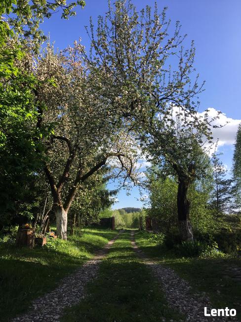 Agroturystyka DOM POD JABŁONKAMI