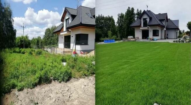 Zakładanie ogrodów nawadnianie trawa z rolki trawnik projekt