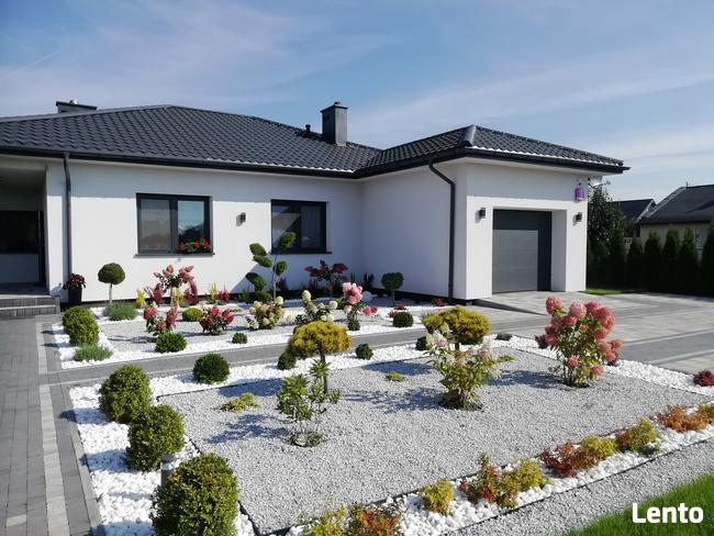 Zakładanie ogrodów nawadnianie trawa z rolki trawnik projekt