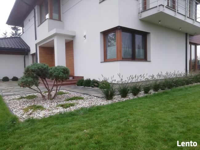 Zakładanie ogrodów nawadnianie trawa z rolki trawnik projekt