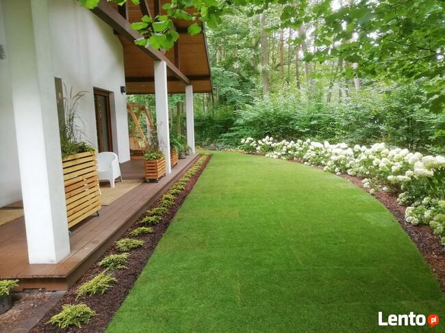 Zakładanie ogrodów nawadnianie trawa z rolki trawnik projekt