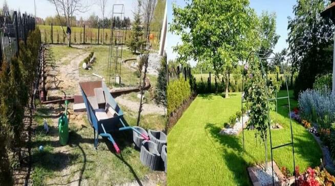 Zakładanie ogrodów nawadnianie trawa z rolki trawnik projekt