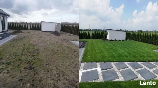 Zakładanie ogrodów nawadnianie trawa z rolki trawnik projekt