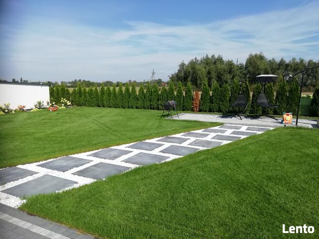 Zakładanie ogrodów nawadnianie trawa z rolki trawnik projekt