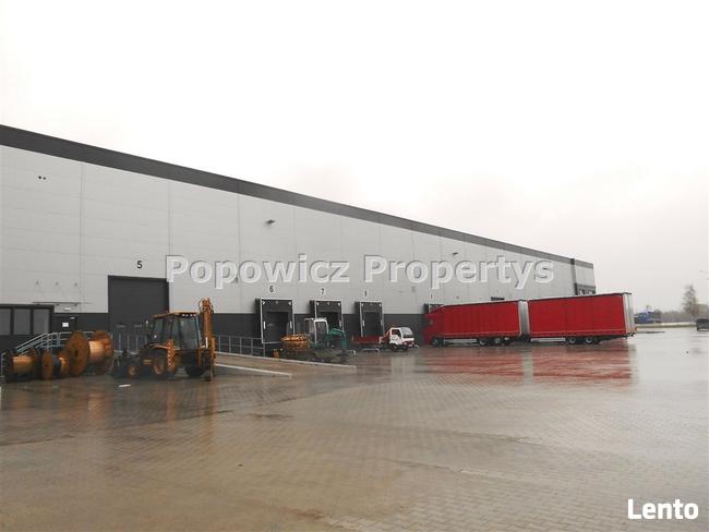 Lokal użytkowy Młyny gm. Radymno