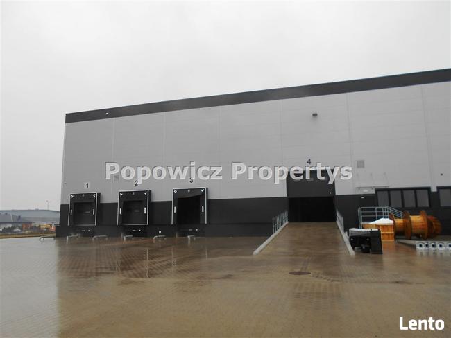 Lokal użytkowy Młyny gm. Radymno