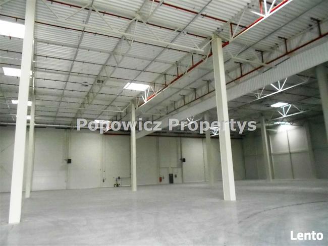 Lokal użytkowy Młyny gm. Radymno