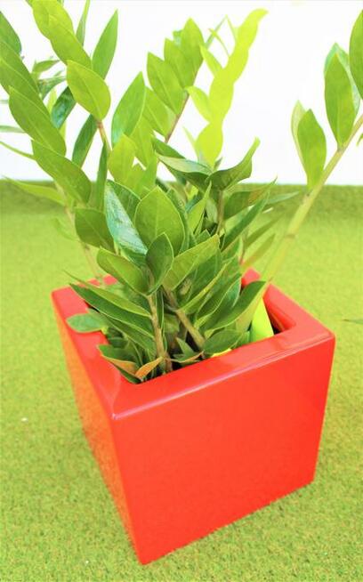 Donica malowana, połysk, mat