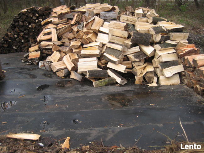 Opał, drewno kominkowe cięte na 40 cm i łupane.