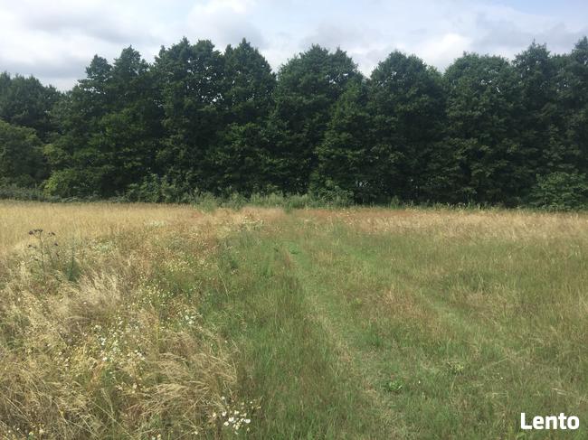 Bory Tucholskie z dostępem do jeziora! Stary Sumin Cekcyn