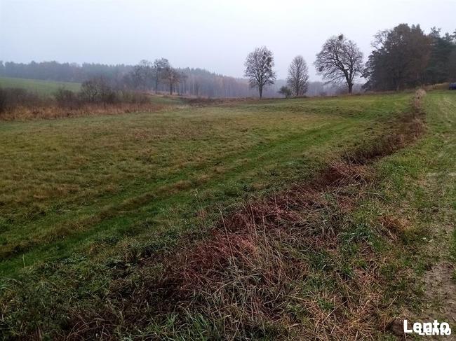 Działka rolno-budowlana na sprzedaż 1 ha elganowo, pasym