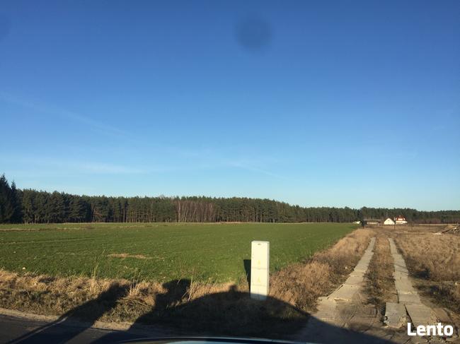 Bory Tucholskie z dostępem do jeziora! Stary Sumin Cekcyn