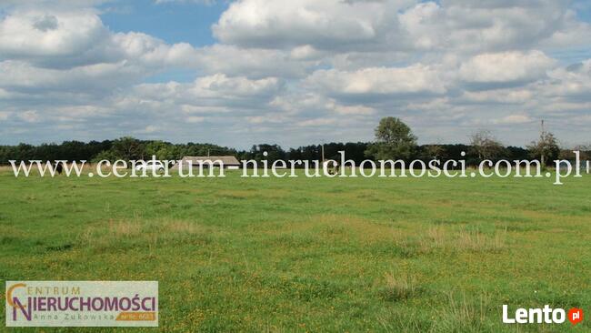 Barcząca, 4900m2, 46m x 107m