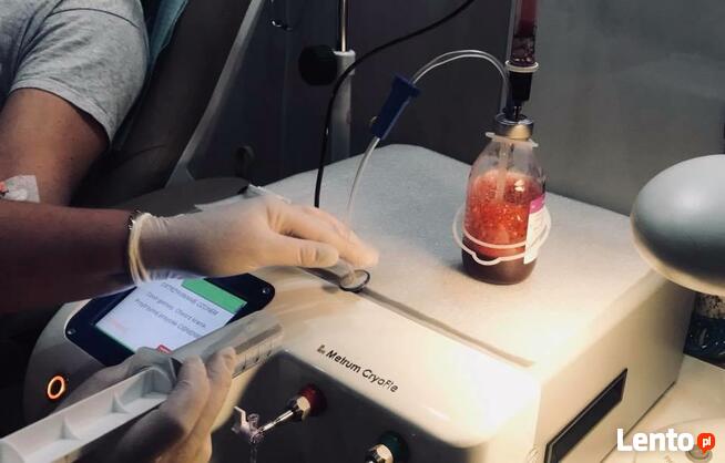 Odbudowa układu odpornościowego