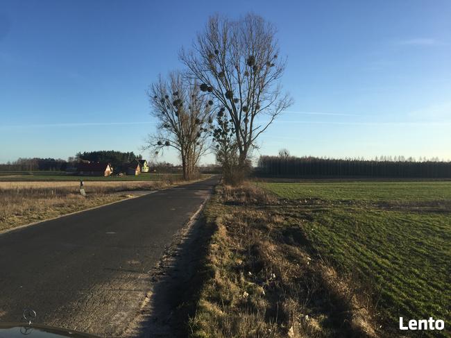 Bory Tucholskie z dostępem do jeziora! Stary Sumin Cekcyn