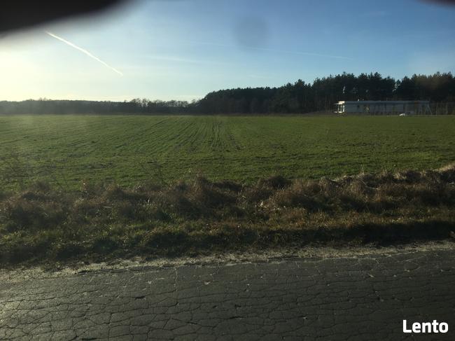 Bory Tucholskie z dostępem do jeziora! Stary Sumin Cekcyn