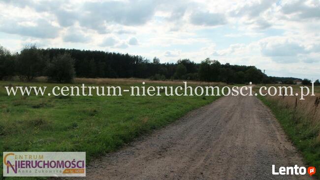 Barcząca, 4900m2, 46m x 107m