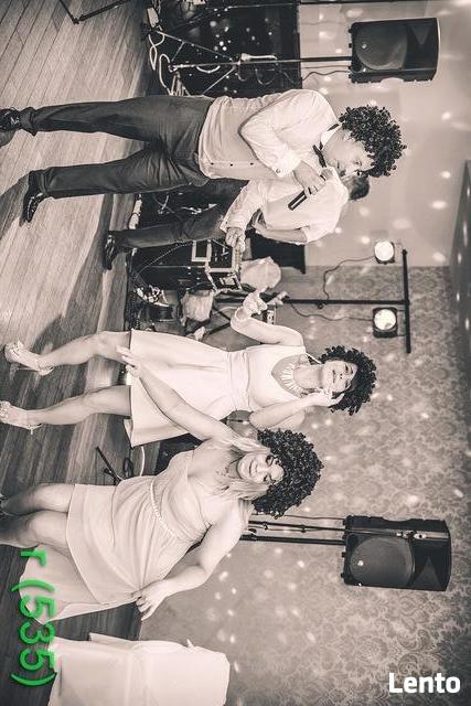 Dj / Wodzirej / Akordeonista na Twoje wesele