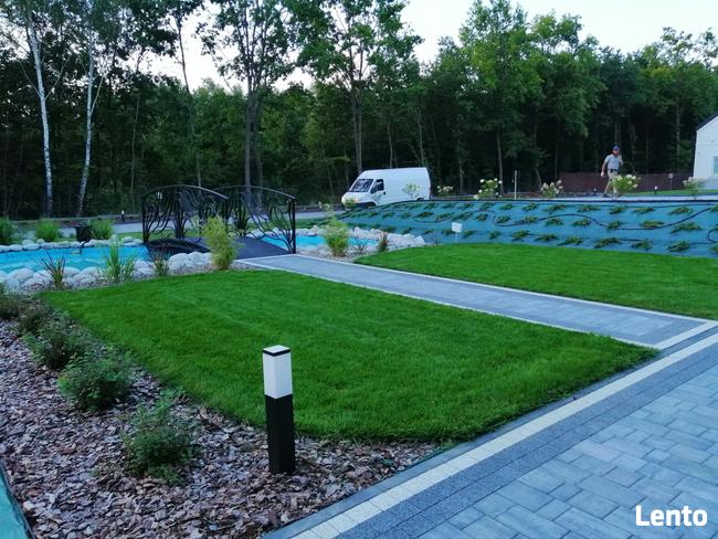 Garden Service -Zakładanie Ogrodów-Trawników