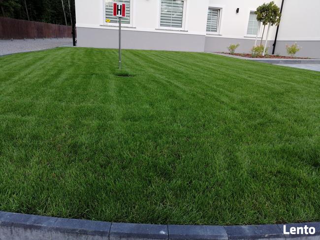Garden Service -Zakładanie Ogrodów-Trawników