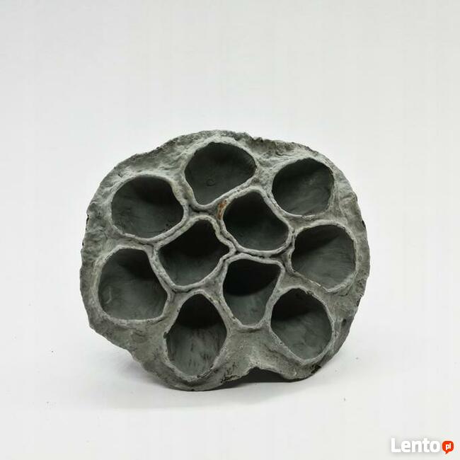 Lotos szary barwiony - dekoracja do terrarium