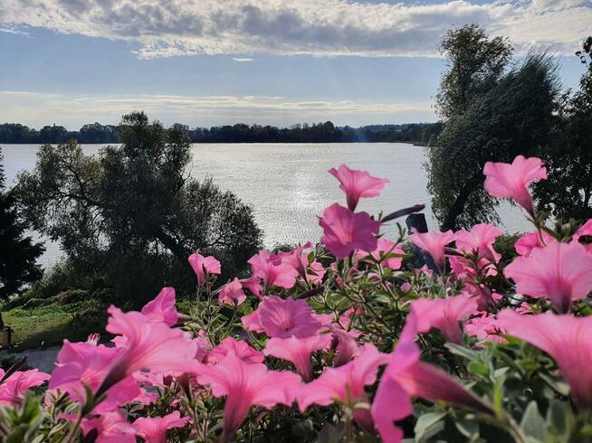 Zakątek nad jeziorem Ełk